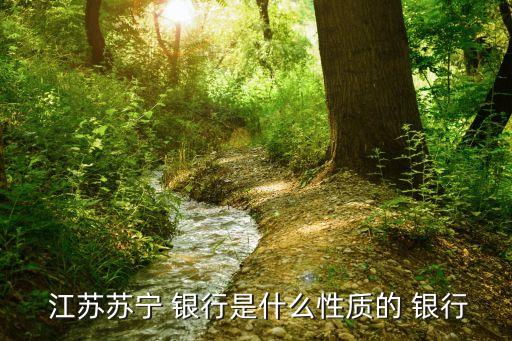  江蘇蘇寧 銀行是什么性質的 銀行