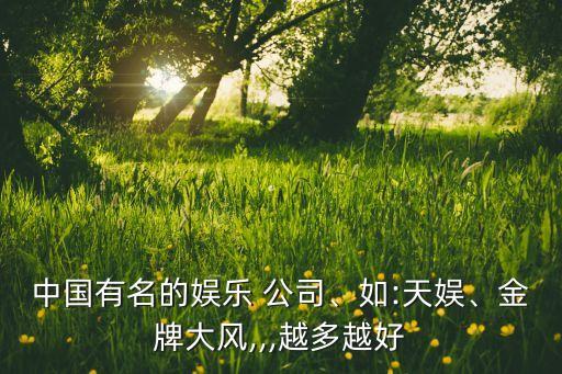 中國有名的娛樂 公司、如:天娛、金牌大風(fēng),,,越多越好