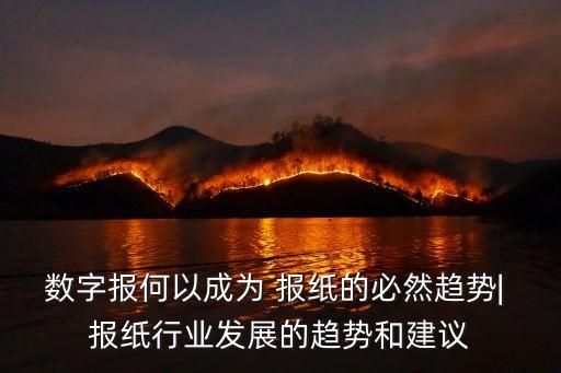 數(shù)字報何以成為 報紙的必然趨勢| 報紙行業(yè)發(fā)展的趨勢和建議
