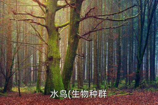 什么是銀行公信類合作機構管理