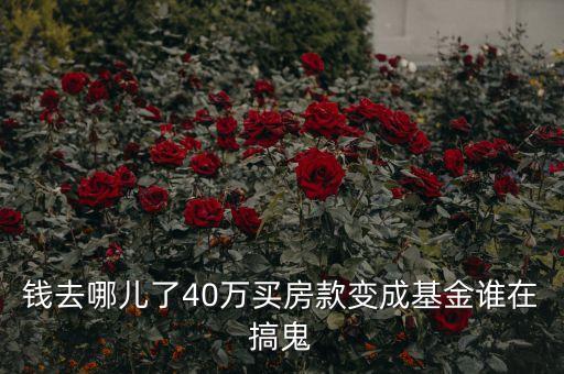 錢去哪兒了40萬(wàn)買房款變成基金誰(shuí)在搞鬼