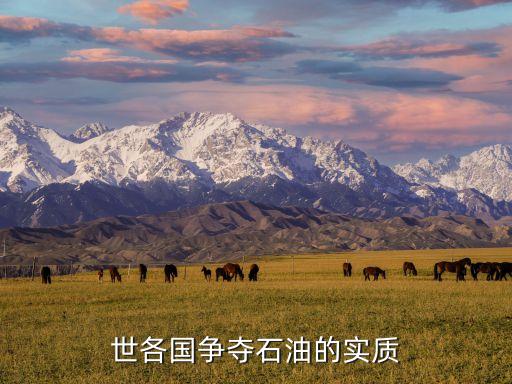 世各國爭(zhēng)奪石油的實(shí)質(zhì)