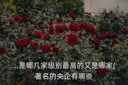 中能?chē)?guó)際控股是家什么公司