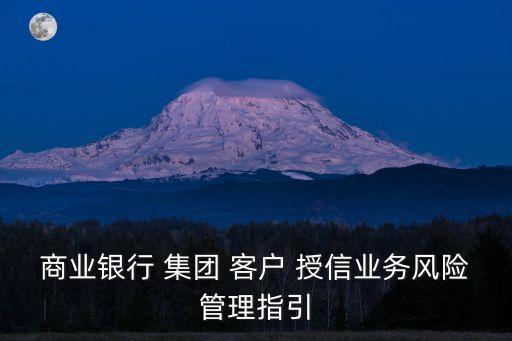 商業(yè)銀行 集團(tuán) 客戶 授信業(yè)務(wù)風(fēng)險管理指引