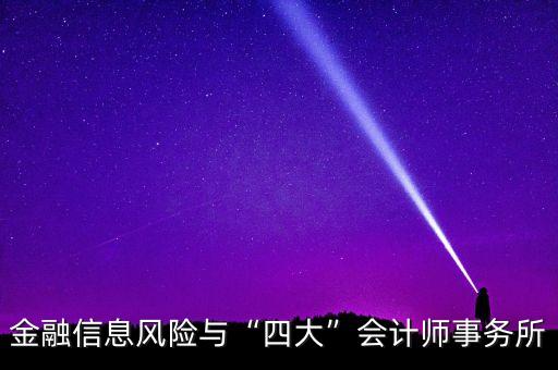 金融信息風險與“四大”會計師事務(wù)所