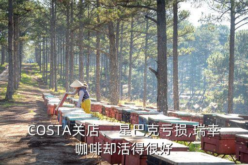 COSTA關(guān)店、 星巴克虧損,瑞幸咖啡卻活得很好