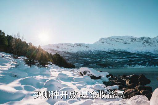 買哪種開(kāi)放 基金收益高