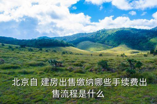 北京建房價格,北京農村自建房設計