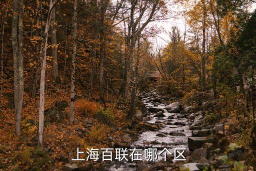 上海百聯(lián)云商商貿有限公司