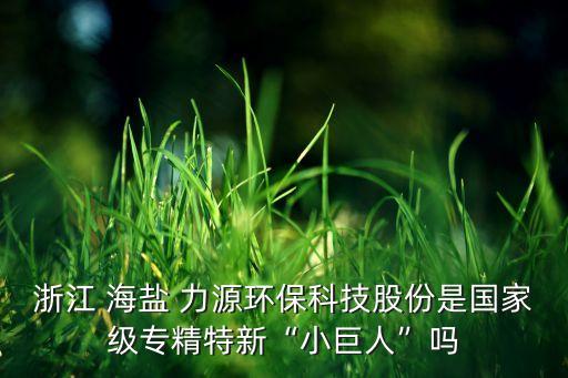 浙江 海鹽 力源環(huán)?？萍脊煞菔菄壹墝＞匦隆靶【奕恕眴? class=