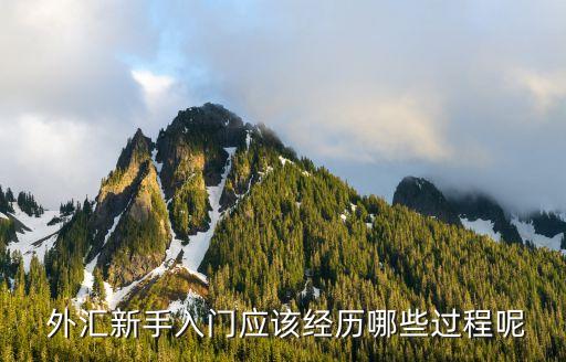  外匯新手入門(mén)應(yīng)該經(jīng)歷哪些過(guò)程呢