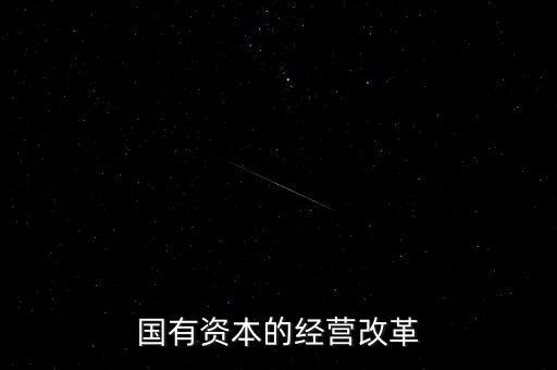 國有資本的經營改革