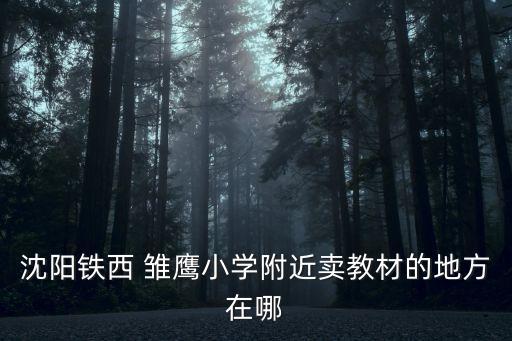 沈陽(yáng)鐵西 雛鷹小學(xué)附近賣(mài)教材的地方在哪