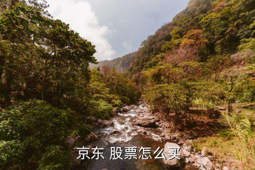 京東商城有沒(méi)有發(fā)布股票,港股京東商城股票