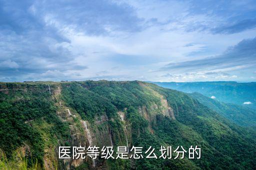 中國(guó)醫(yī)院所有制,公立醫(yī)院所有制形式怎么填