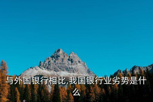 與外國(guó)銀行相比,我國(guó)銀行業(yè)劣勢(shì)是什么