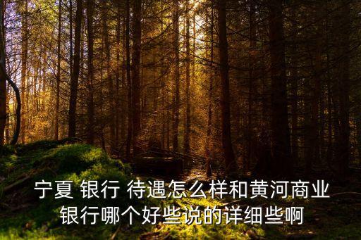  寧夏 銀行 待遇怎么樣和黃河商業(yè) 銀行哪個好些說的詳細(xì)些啊