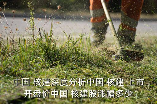 中國(guó) 核建深度分析中國(guó) 核建 上市開盤價(jià)中國(guó) 核建股漲幅多少