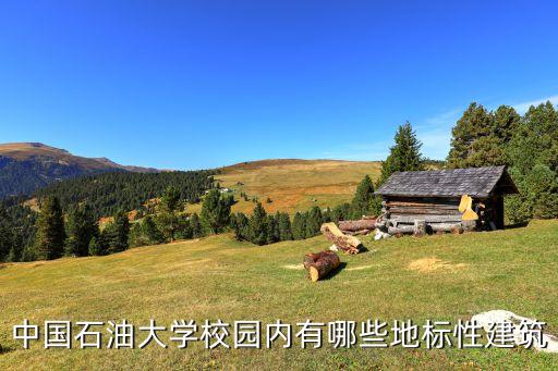 中國石油大學(xué)校園內(nèi)有哪些地標性建筑