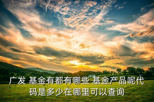 廣發(fā) 基金有都有哪些 基金產(chǎn)品呢代碼是多少在哪里可以查詢(xún)