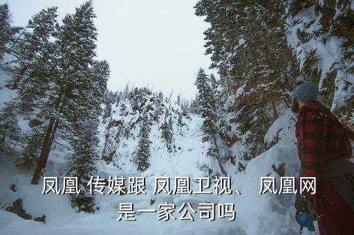  鳳凰 傳媒跟 鳳凰衛(wèi)視、 鳳凰網(wǎng)是一家公司嗎