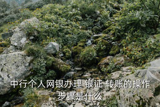 中行個人網銀辦理 銀證 轉賬的操作步驟是什么