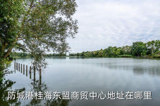 防城港桂海東盟商貿中心地址在哪里