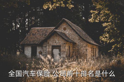 車(chē)險(xiǎn)公司排第一,最大的車(chē)險(xiǎn)公司是哪一家