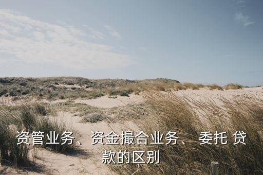資管業(yè)務(wù)、資金撮合業(yè)務(wù)、 委托 貸款的區(qū)別