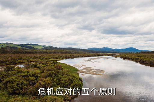 危機(jī)應(yīng)對的五個原則