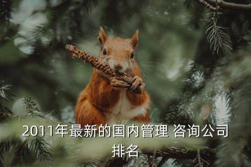 2011年最新的國(guó)內(nèi)管理 咨詢(xún)公司排名