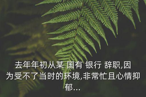 去年年初從某 國有 銀行 辭職,因為受不了當(dāng)時的環(huán)境,非常忙且心情抑郁...