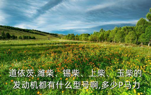 道依茨.濰柴、錫柴、上柴、 玉柴的 發(fā)動機都有什么型號啊,多少P馬力