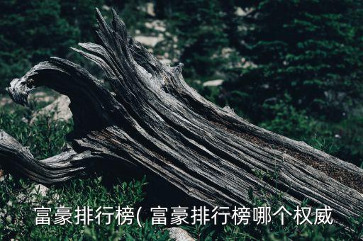  富豪排行榜( 富豪排行榜哪個權(quán)威