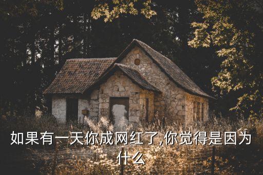 如果有一天你成網(wǎng)紅了,你覺得是因為什么