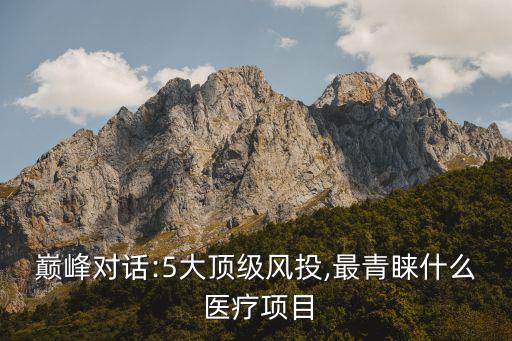 巔峰對話:5大頂級風(fēng)投,最青睞什么 醫(yī)療項目