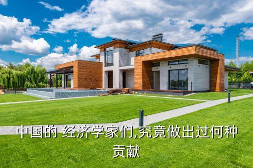 中國的 經濟學家們,究竟做出過何種貢獻