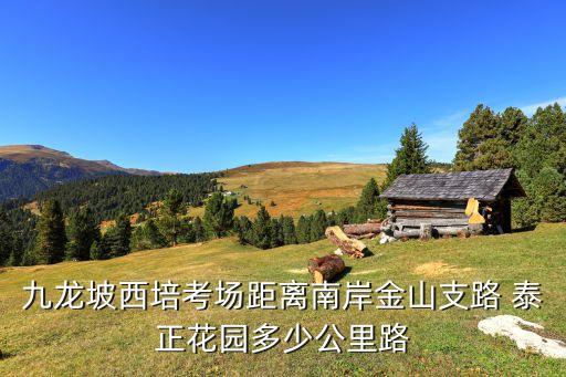 九龍坡西培考場(chǎng)距離南岸金山支路 泰正花園多少公里路