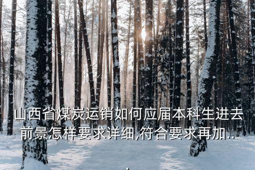  山西省煤炭運銷如何應(yīng)屆本科生進去前景怎樣要求詳細(xì),符合要求再加...