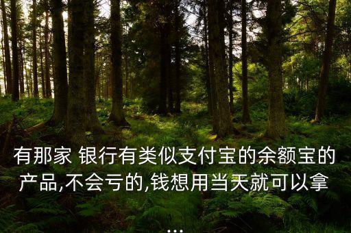 有那家 銀行有類似支付寶的余額寶的產(chǎn)品,不會虧的,錢想用當天就可以拿...