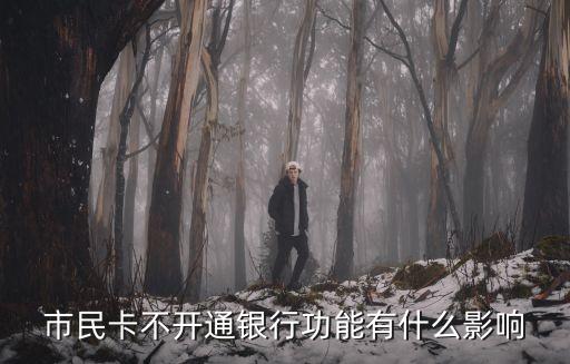 北京市經信委張伯旭