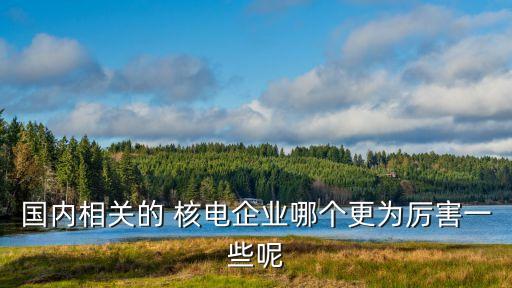 國內相關的 核電企業(yè)哪個更為厲害一些呢