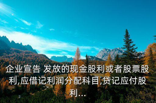 企業(yè)宣告 發(fā)放的現(xiàn)金股利或者股票股利,應(yīng)借記利潤(rùn)分配科目,貸記應(yīng)付股利...