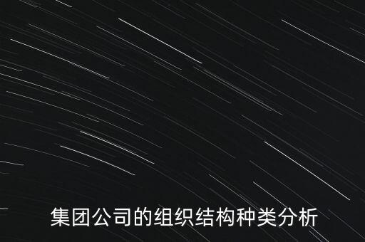  集團(tuán)公司的組織結(jié)構(gòu)種類(lèi)分析