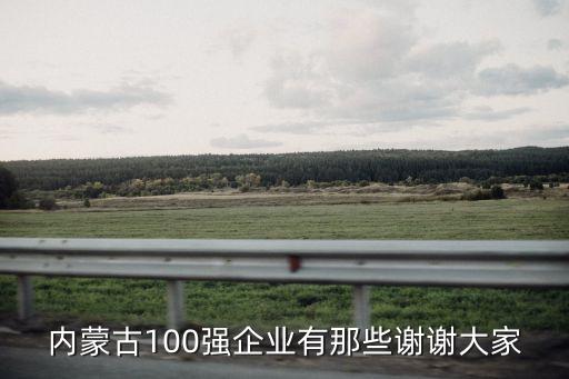 內(nèi)蒙古100強企業(yè)有那些謝謝大家
