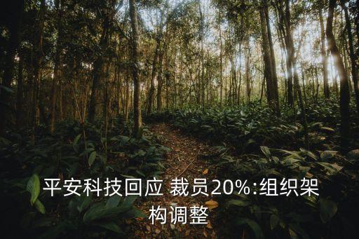  平安科技回應 裁員20%:組織架構(gòu)調(diào)整