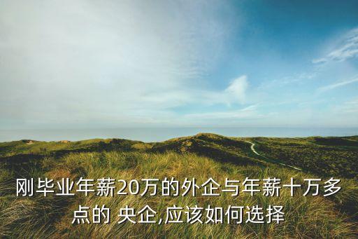 剛畢業(yè)年薪20萬的外企與年薪十萬多點的 央企,應(yīng)該如何選擇