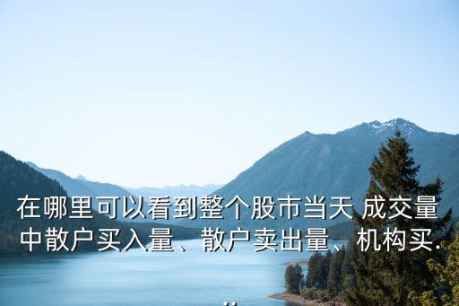 在哪里可以看到整個股市當(dāng)天 成交量中散戶買入量、散戶賣出量、機(jī)構(gòu)買...