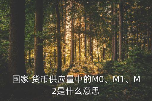 國家 貨幣供應(yīng)量中的M0、M1、M2是什么意思