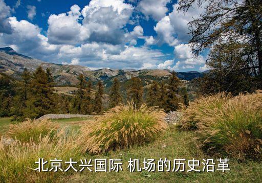  北京大興國際 機(jī)場(chǎng)的歷史沿革
